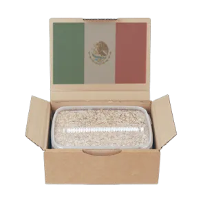 Buy Mondo Grow Kit Mexican